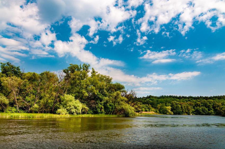 Stunning beautiful view of the lake near forest 2023 11 27 05 13 57 utc