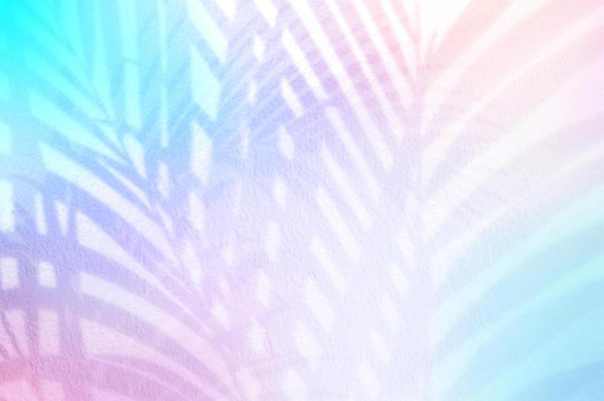 Light and shadow eaves palm leaf on colorful color 2024 11 27 03 51 52 utc