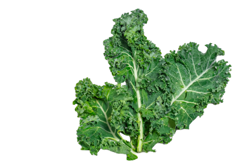 Vegetables png file free download (frefile com) 171