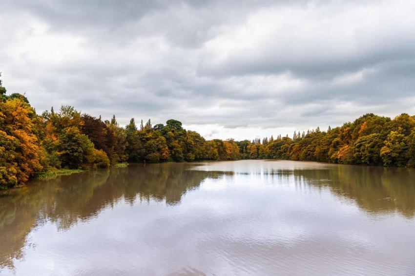 Lymm dam during autumn season 2023 11 27 05 35 28 utc
