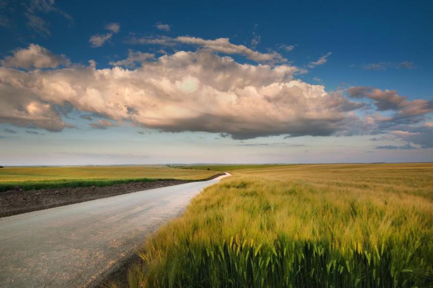 Road in rye field beautiful summer landscape with 2023 11 27 05 19 03 utc