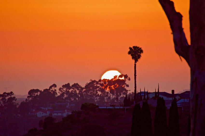 The california sun setting in a suburban neighborh 2023 11 27 05 23 18 utc
