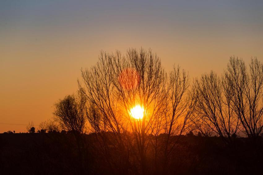 Sun behind dark silhouettes of trees with orange 2024 12 07 16 16 59 utc