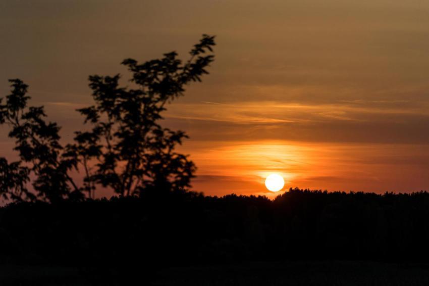 Forest sunset 2023 11 27 04 56 34 utc