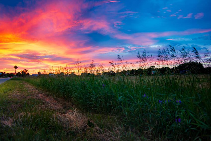 Beautiful field of grass with a rainbow colored su 2024 11 26 14 01 16 utc jpeg