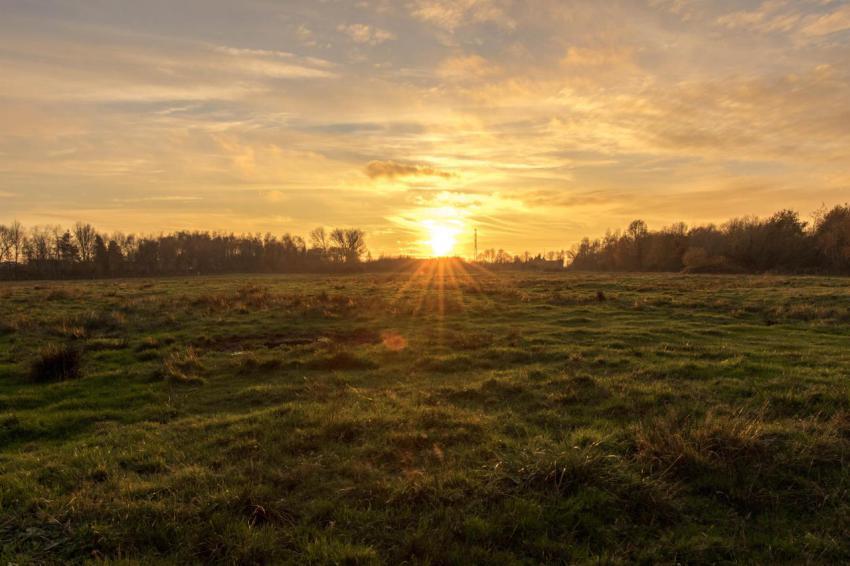Sun setting over a green field 2024 04 05 01 45 06 utc