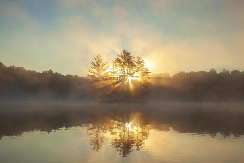 Sunrise through pine trees fog and a sunburst on a 2024 08 02 20 27 06 utc