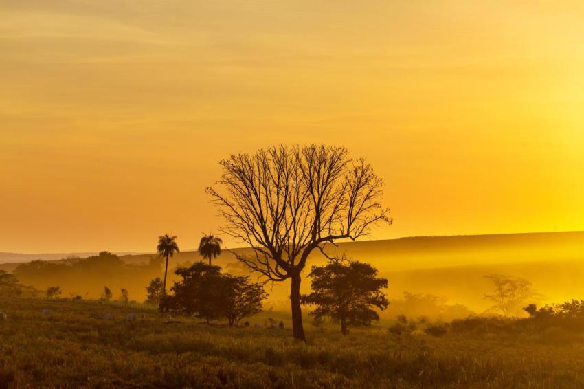 Rural landscapes in brazil 2024 07 24 19 23 07 utc