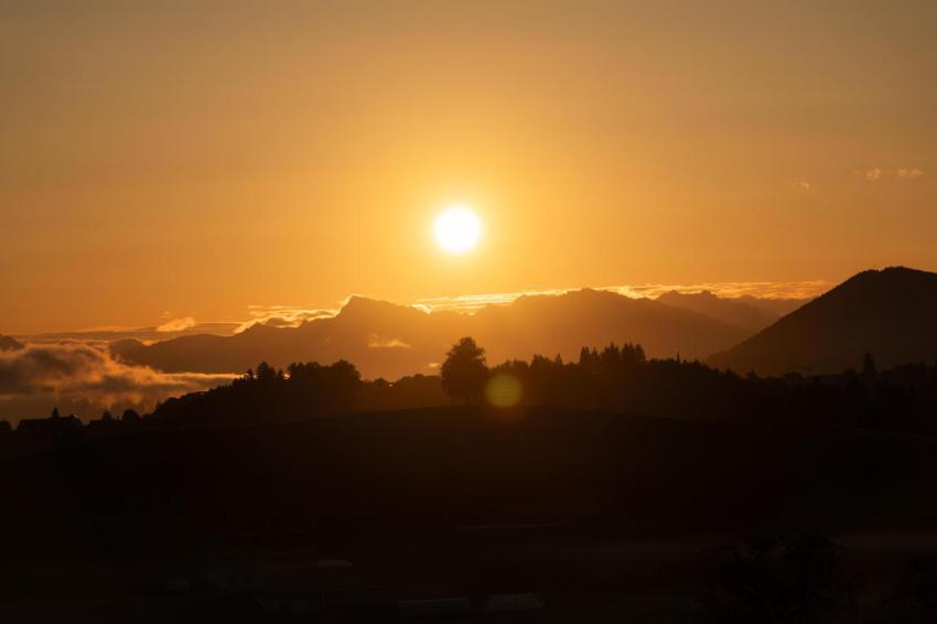 Golden sunrise over lonely iconic tree on hill in 2024 10 19 00 12 01 utc