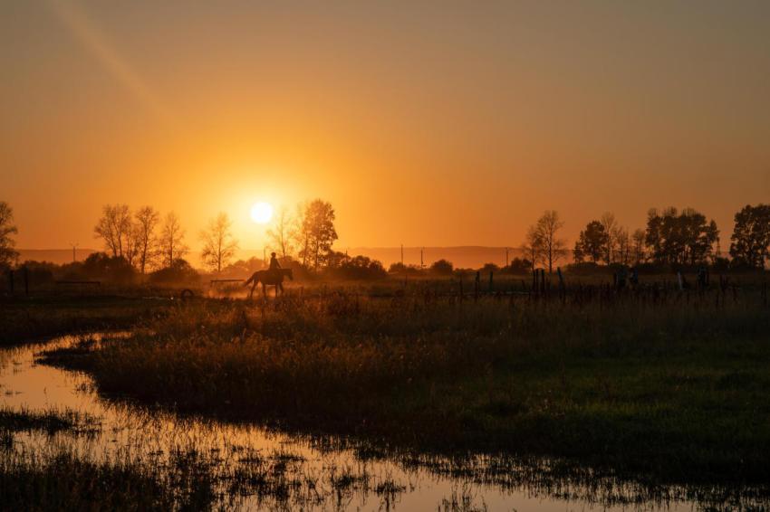 Beautiful nature silhouette of a rider on a horse 2023 11 27 04 49 09 utc