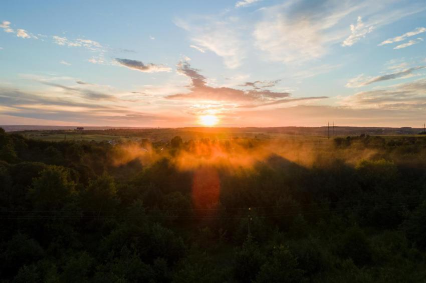 Aerial view of light fog covering dark forest tree 2024 12 06 16 01 21 utc
