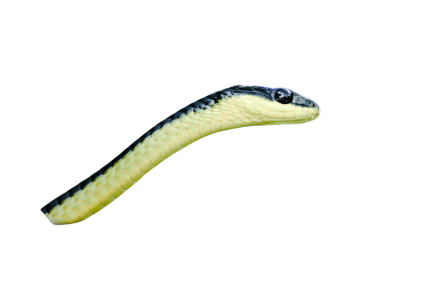 Snake png file free download (frefile com) 33