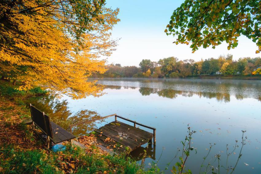 Autumn foliage lake in morning with pier 2024 09 22 10 18 37 utc