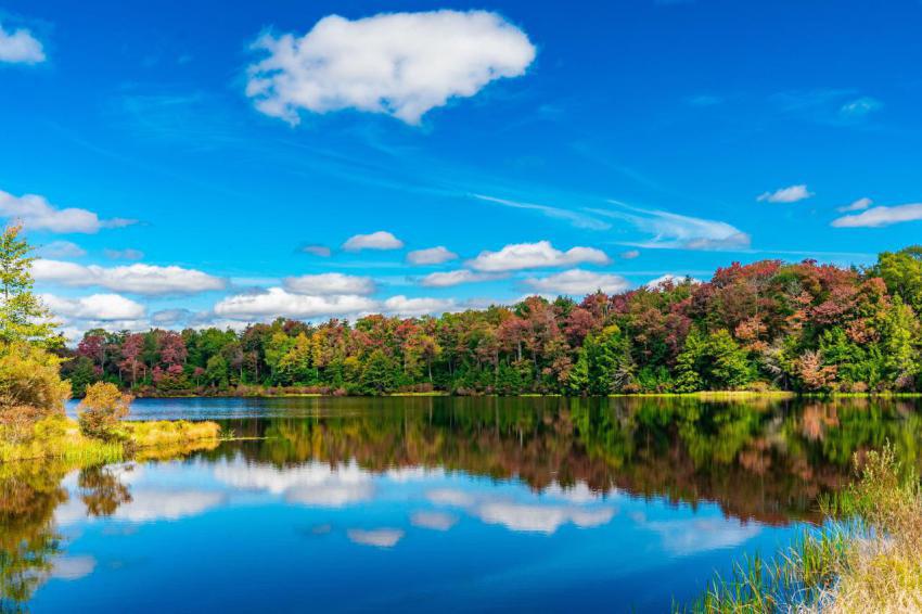 Autumn landscape with vibrant foliage and lake ref 2024 11 04 18 26 54 utc