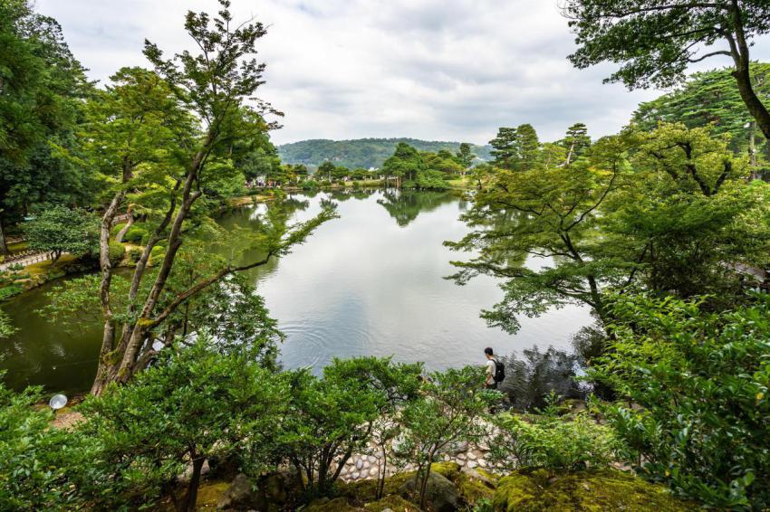 Breathtaking view of the pond and the trees in ken 2023 11 27 05 34 05 utc