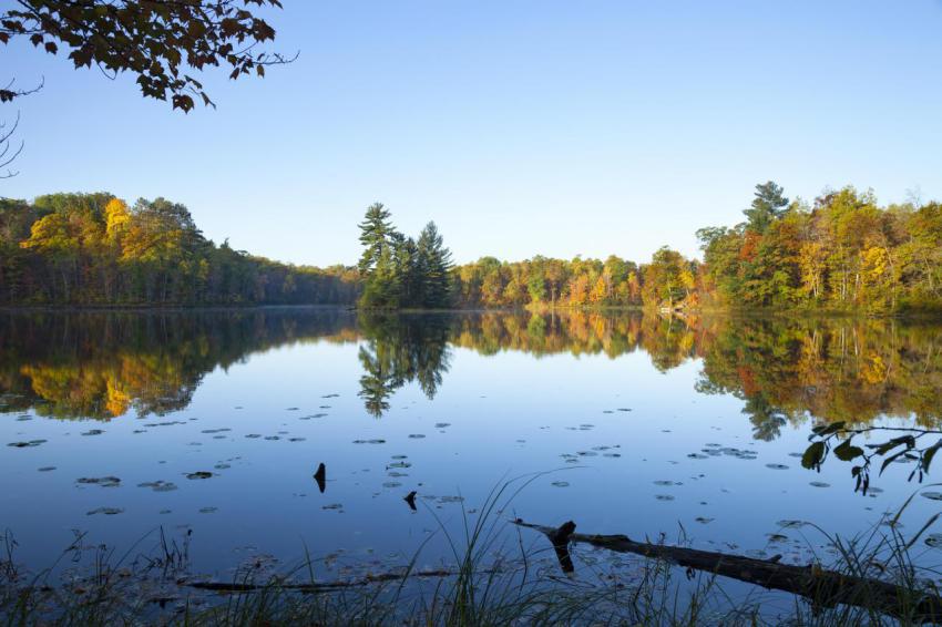 Calm lake wide view with an island and trees in fa 2023 11 27 05 19 46 utc