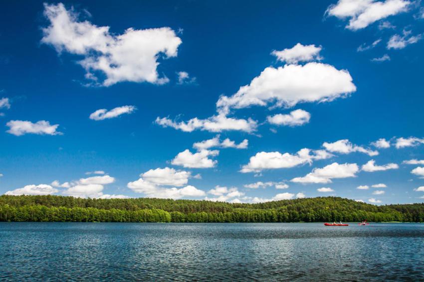 Canoe trip on the lake in summer 2023 11 27 04 50 54 utc