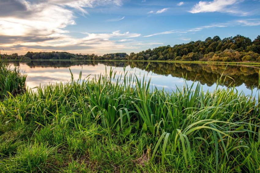 Lake at sunset countryside rural scenery in polan 2023 11 27 05 18 28 utc