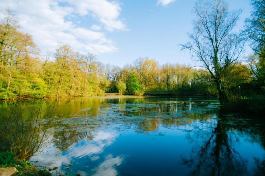 Landscape of the lake in natural parkland in europ 2024 12 05 02 08 25 utc