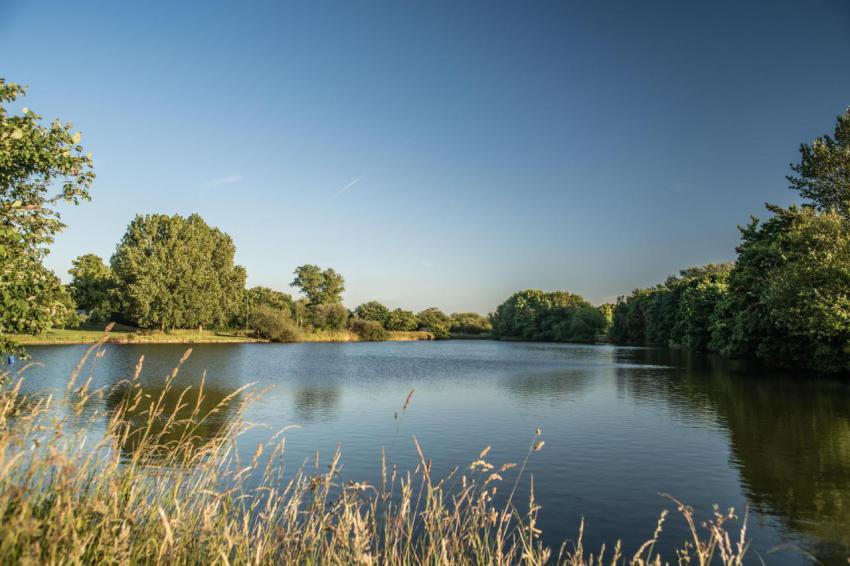 Nantwich mill island sunny evening lake landscape 2023 11 27 04 55 08 utc