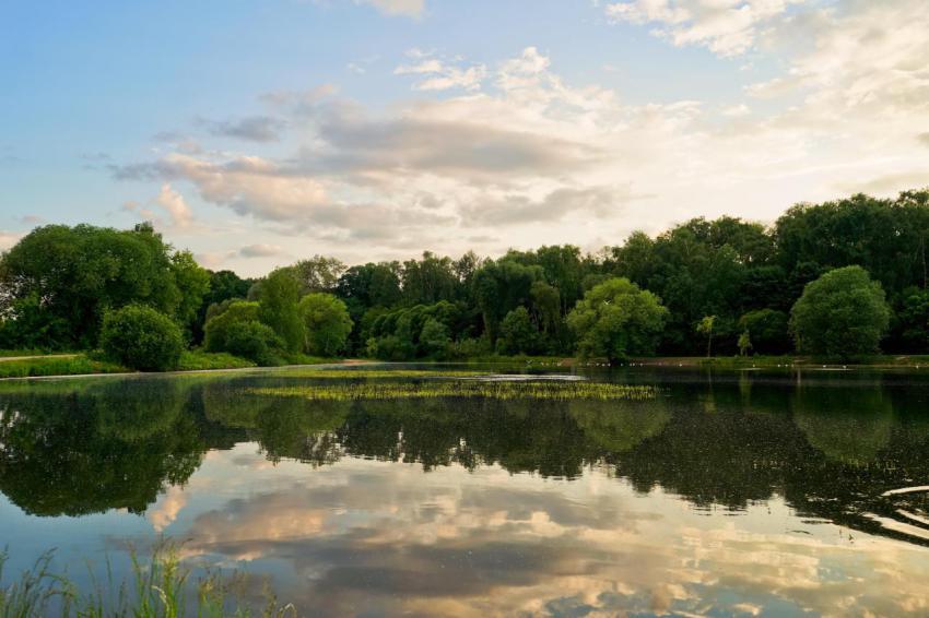 Nature landscape with lake and trees on sunset lig 2023 11 27 05 22 58 utc
