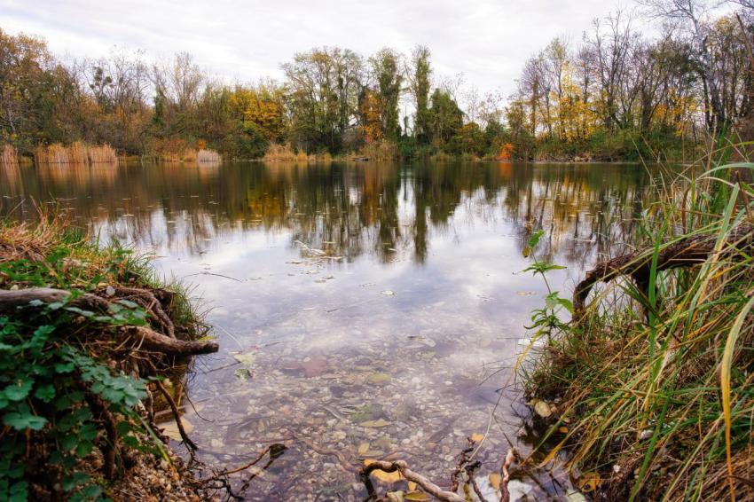 Old lake in rusovce village park in autumn slovak 2023 11 27 04 52 34 utc