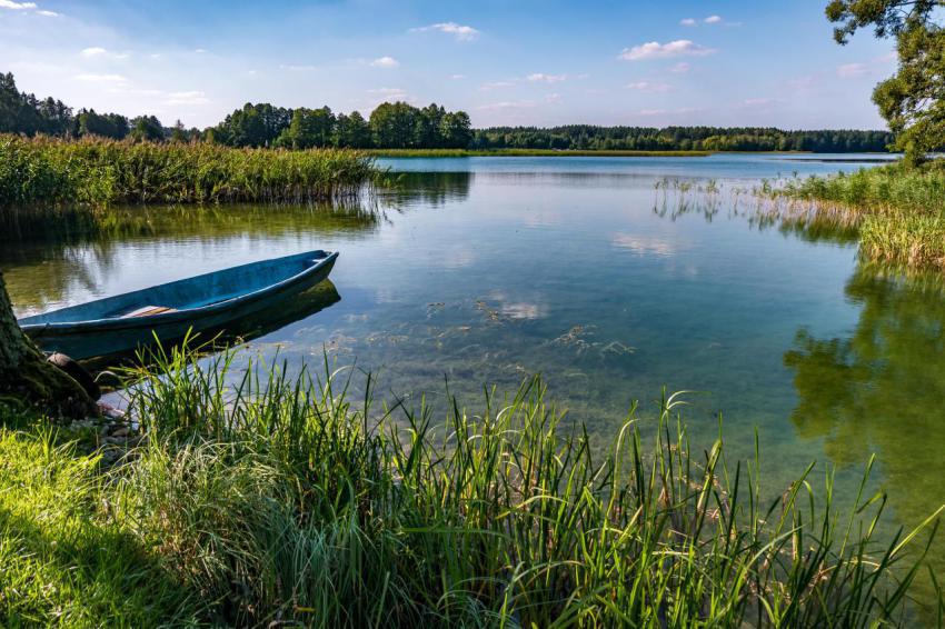 Old wooden boat in the reed bushes on the bank of 2024 07 23 23 13 16 utc