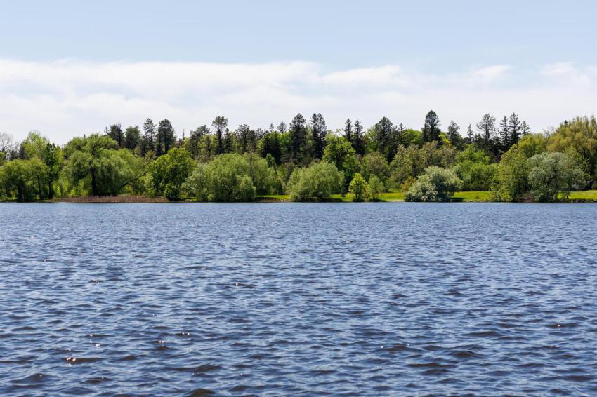 Panoramic view of lake surrounded by forest natur 2023 11 27 05 35 41 utc
