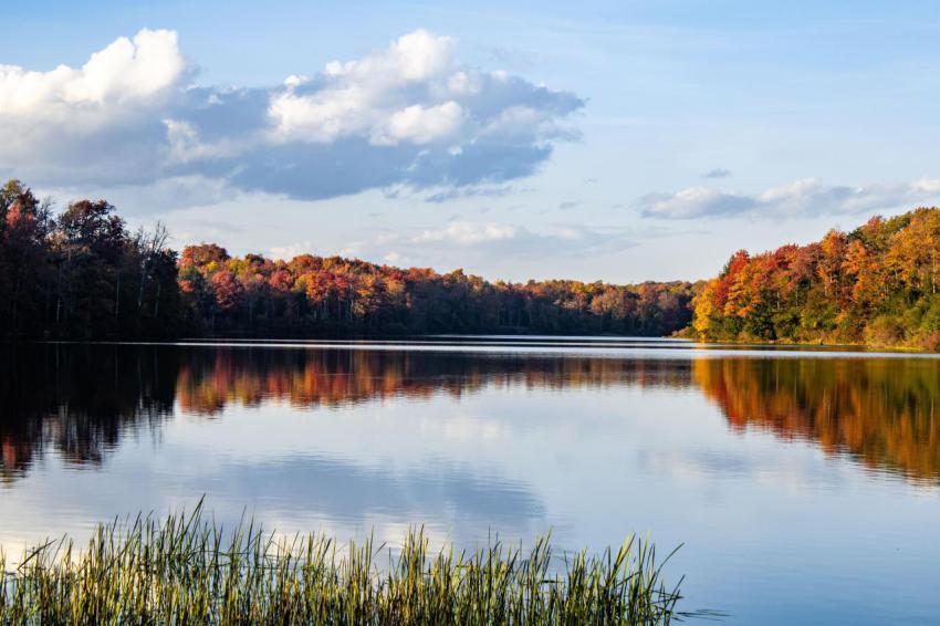 Picturesque view of fall colors on lake jean at ri 2023 11 27 05 29 53 utc