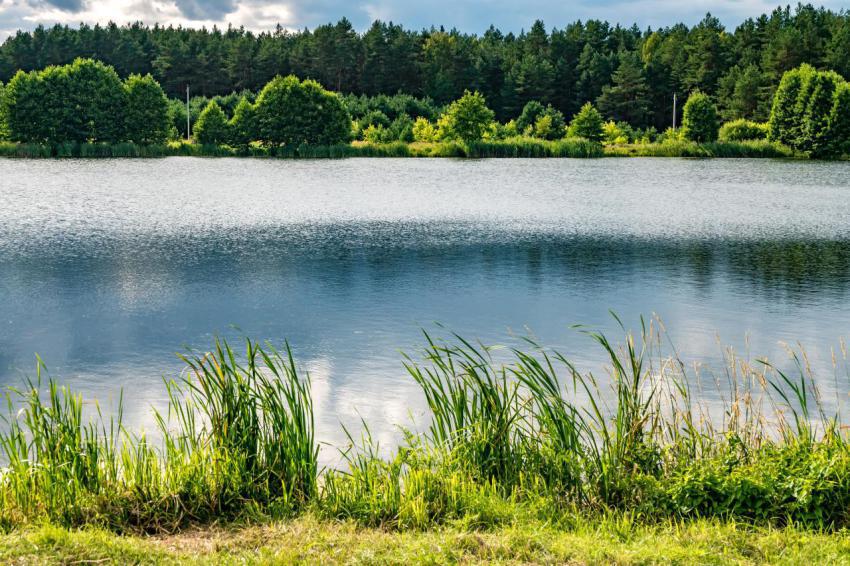 Reflection in the water of a large forest lake 2024 07 23 23 12 15 utc