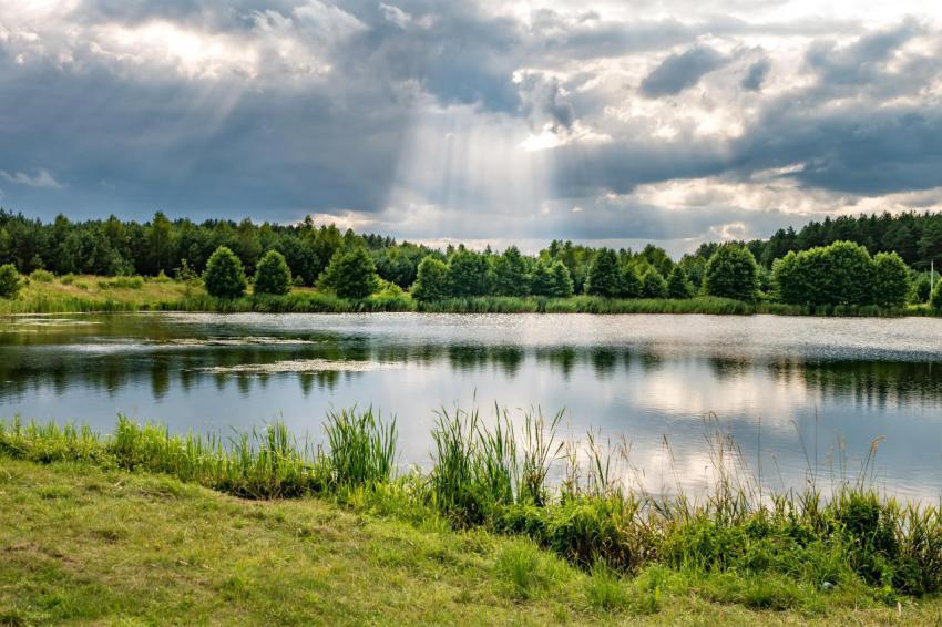 Reflection in the water of a large forest lake 2024 07 23 23 13 16 utc