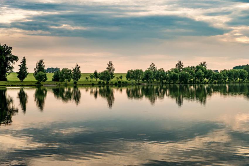 Reflection of trees in a lake water on a quiet sum 2024 07 23 01 34 08 utc
