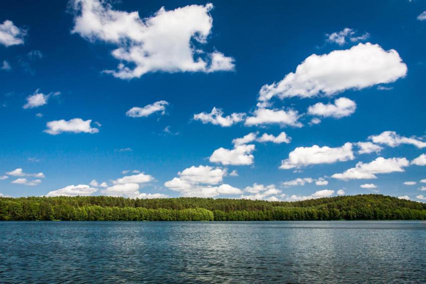 Sunny day at the lake in national park 2023 11 27 05 00 44 utc