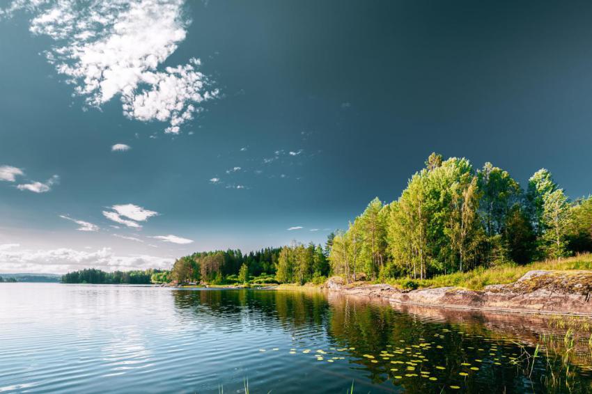 Swedish nature sweden summer lake or river in be 2023 11 27 04 58 40 utc