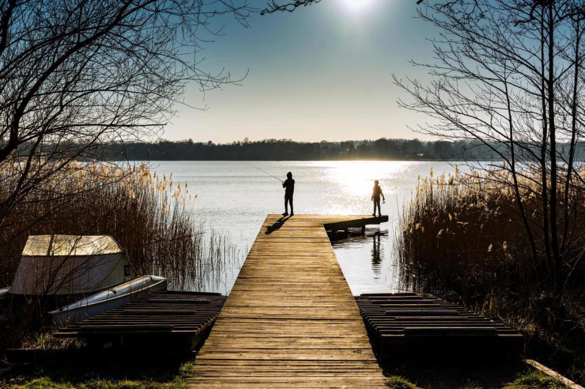 Young children stand on a wooden dock overlooking 2023 11 27 05 11 18 utc
