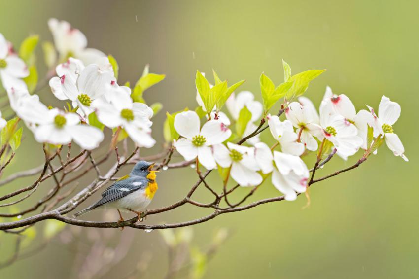Amazing Wallpapers (74)
