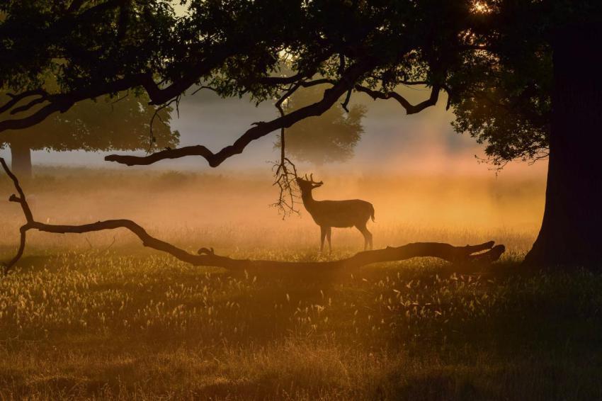 Best Wallpapers (47)