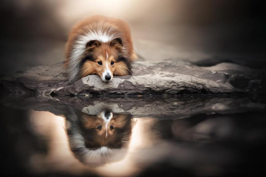 Best Wallpapers (58)