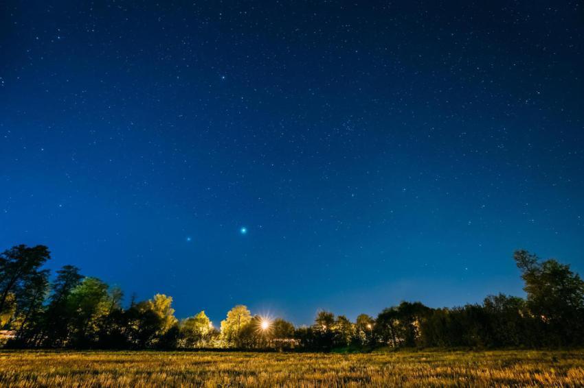 Green trees woods in park under night starry sky 2023 11 27 04 59 20 utc