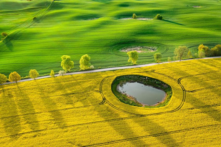 Yellow rape fields in poland countryside aerial v 2023 11 27 05 06 01 utc
