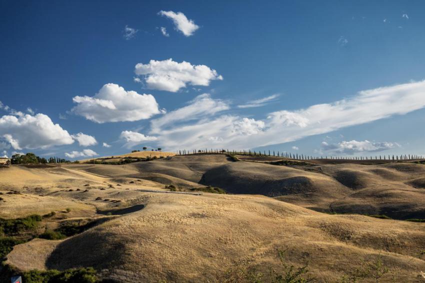 Summer landscape near asciano 2023 11 27 05 17 11 utc