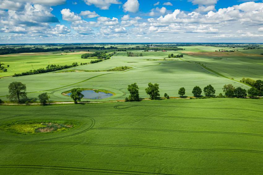 Stunning green field in sunny day aerial view 2023 11 27 05 32 42 utc (1)