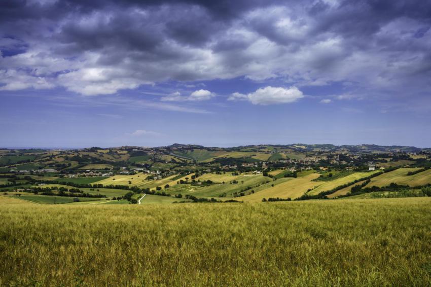 Rural landscape near santa maria nuova and osimo 2023 11 27 05 10 49 utc