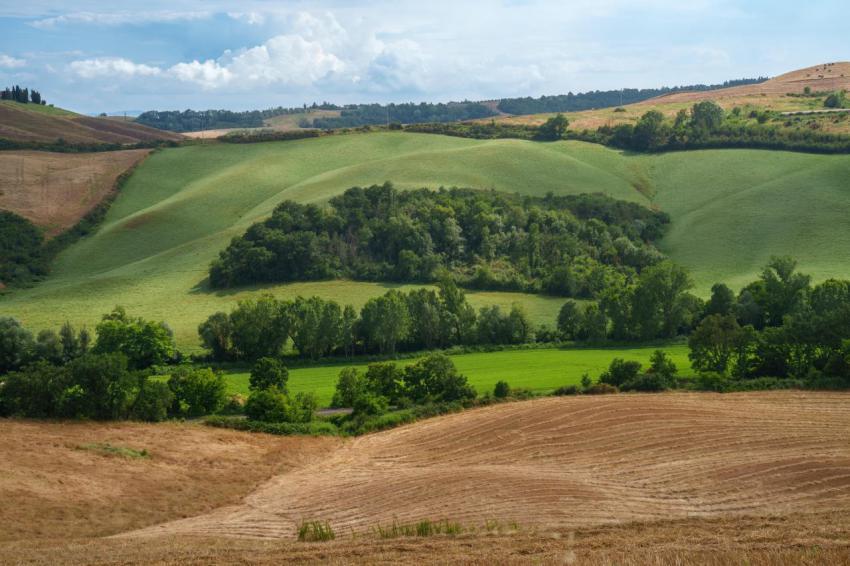 Rural landscape in val d orcia tuscany at summer 2023 11 27 05 02 07 utc