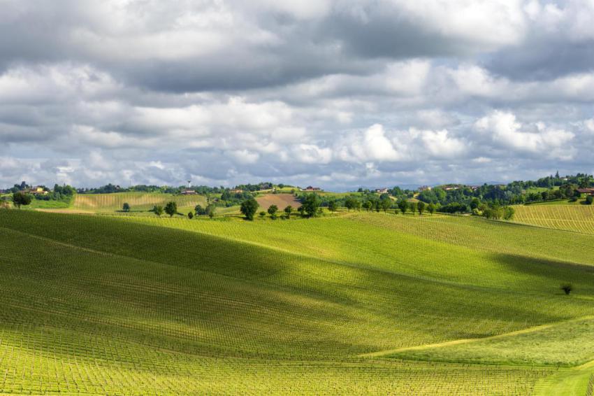 Landscape of monferrato near calliano at springtim 2023 11 27 05 36 57 utc