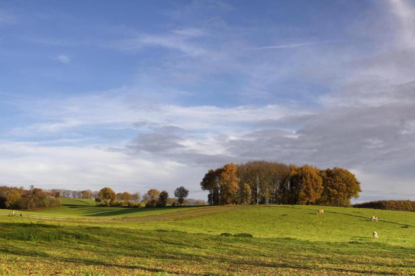Landscape near groesbeek 2023 11 27 05 06 47 utc
