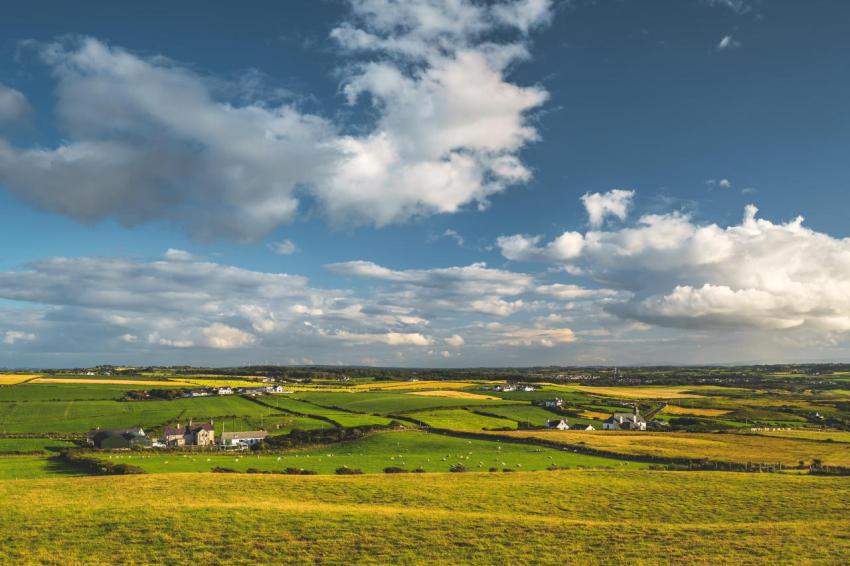 Irish countryside panorama green field blue sky 2023 11 27 05 35 59 utc