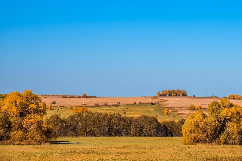Beautiful colored autumn landscape 2024 12 05 21 42 41 utc