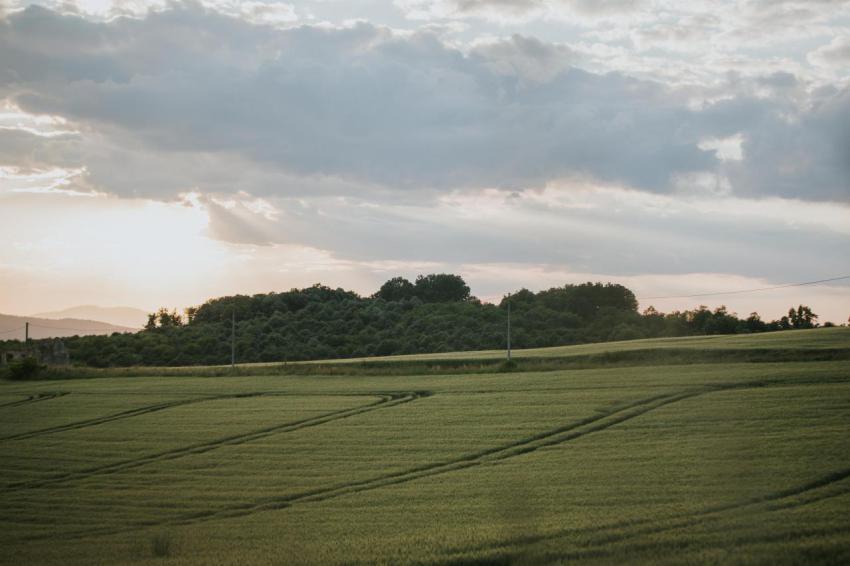 Sunset scene in the countryside with thick trees o 2023 11 27 05 17 41 utc