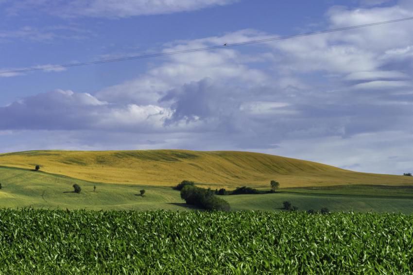Rural landscape near ostra vetere and cingoli mar 2023 11 27 05 24 56 utc